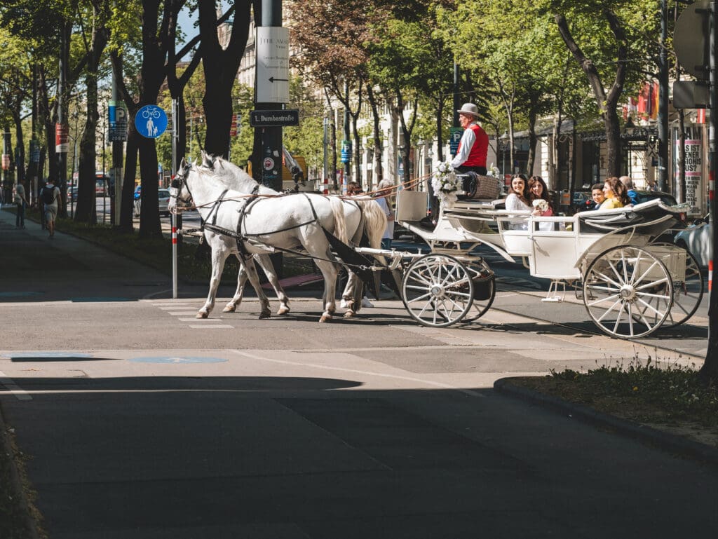 Pferdekutsche Hochzeit Wien