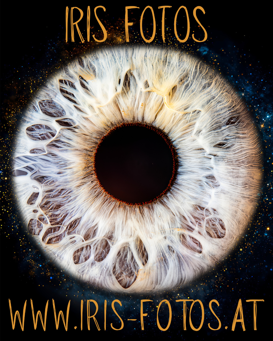 iris fotografie neunkirchen